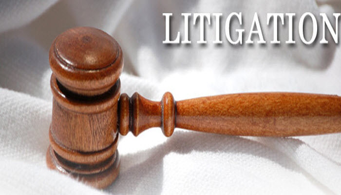 Litigation Support Service
