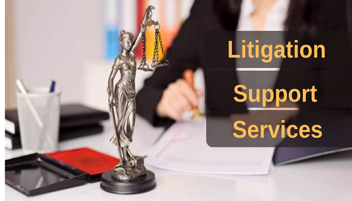 Litigation Support Service Companies