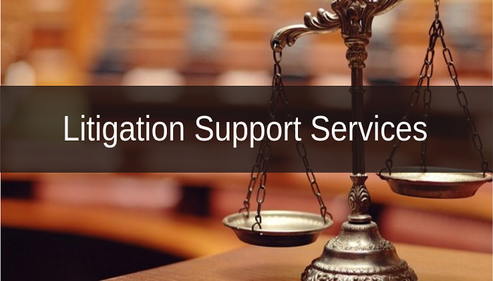 Litigation Support Services Companies Offer
