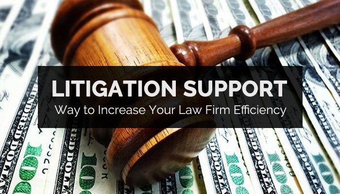 Litigation Support