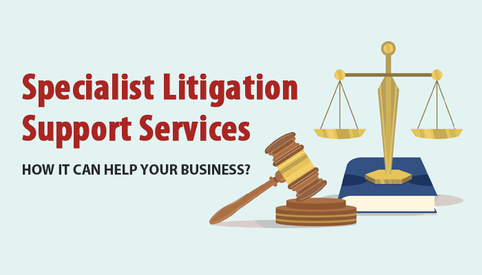 Litigation Support Services