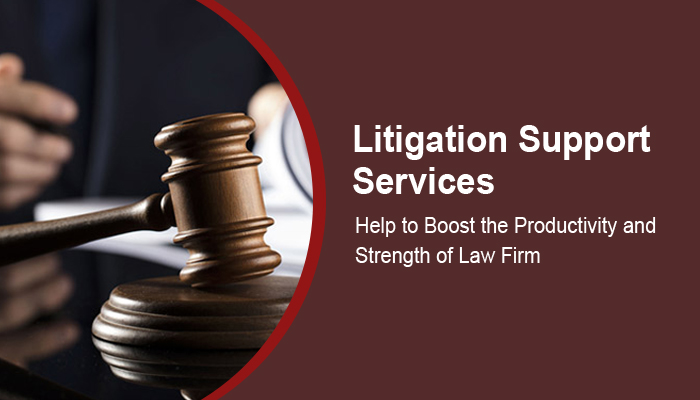 Litigation Support