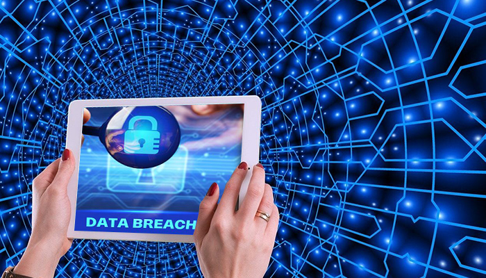 Data Breach Litigation Support