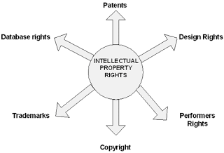 Intellectual Property Rights Intellectual Property Rights